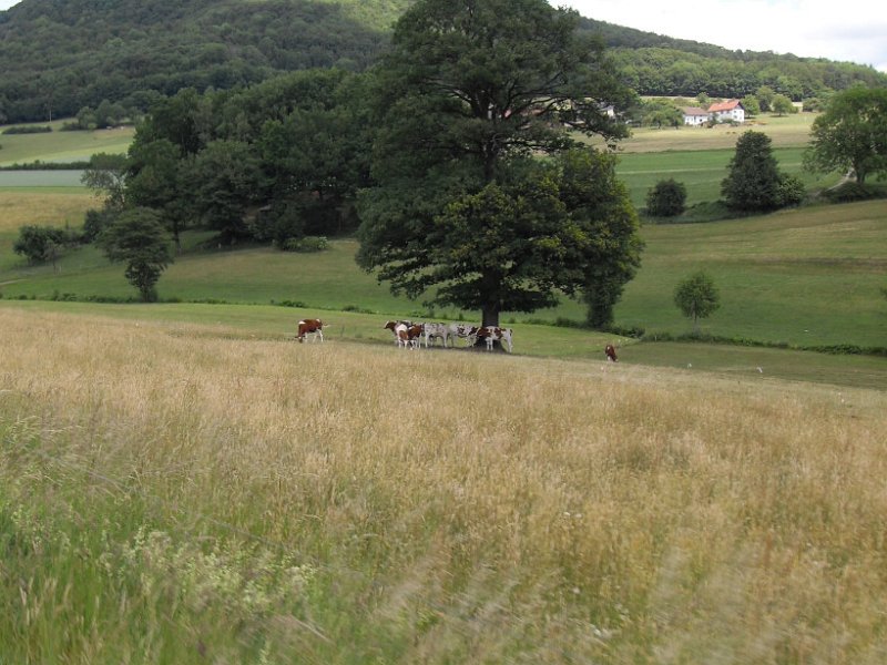 Rhoen-Radmarathon Nichtraucher 591